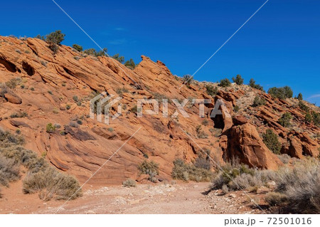 Beautiful landscape around Wire Pass Trail 72501016