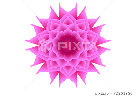 Pink flower Pink flower 72501356