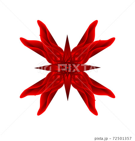 red flower on a white background red flower on a white background 72501357