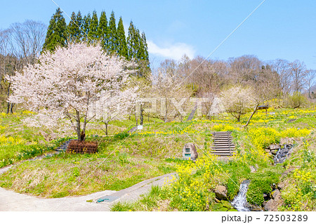 山村の春 山村の春 72503289