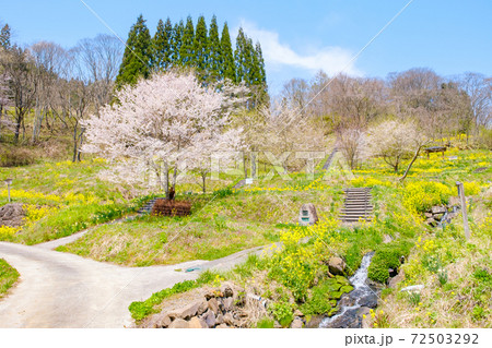 山村の春 72503292