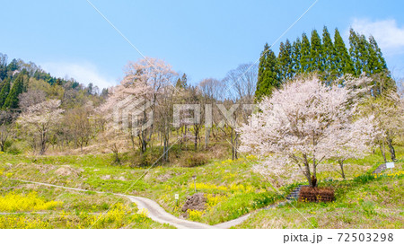 山村の春 山村の春 72503298