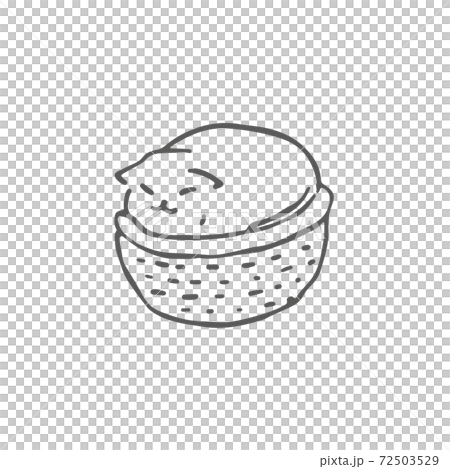 かごの中で眠る猫の手描きイラスト かごの中で眠る猫の手描きイラスト 72503529