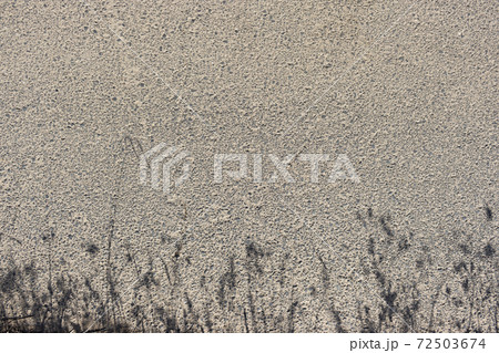 アスファルトに写った雑草の影 72503674