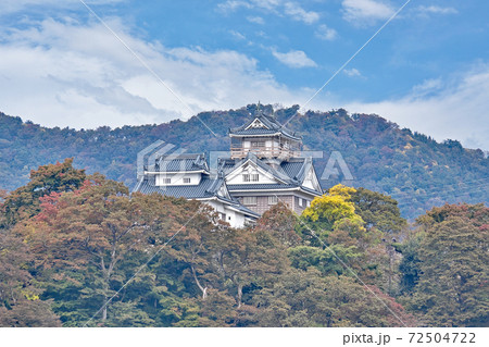 【越前大野城】 福井県大野市城町 72504722