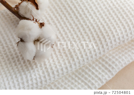 コットン 72504801