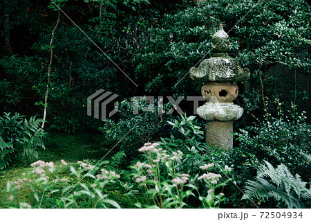 Giouji temple green garden in Kyoto, Japan Giouji temple green garden in Kyoto, Japan 72504934