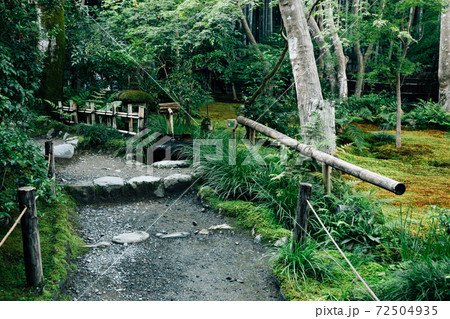 Giouji temple green garden in Kyoto, Japan Giouji temple green garden in Kyoto, Japan 72504935
