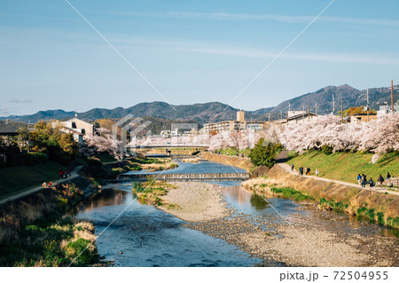 Takano river with cherry blossoms at spring in Kyoto, Japan Takano river with cherry blossoms at spring in Kyoto, Japan 72504955