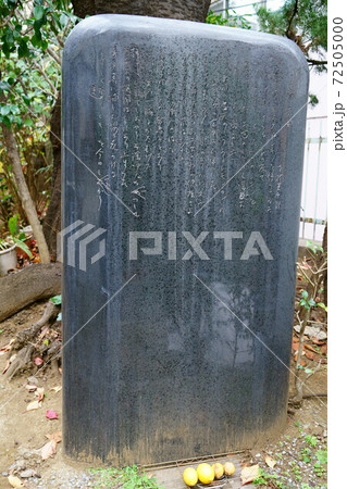 1552 レモン哀歌詩碑 1552 レモン哀歌詩碑 72505000
