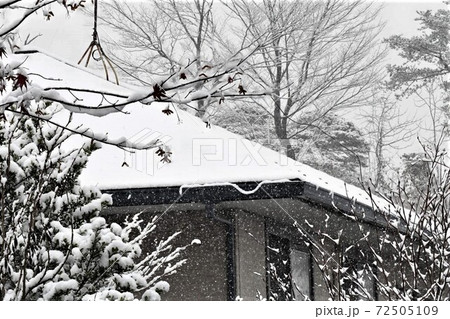 初雪 72505109