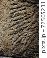 荒い岩肌 72505231