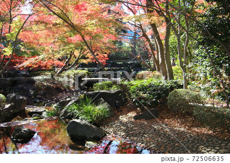 都内屈指の紅葉の庭園を誇る大田黒公園の写真素材