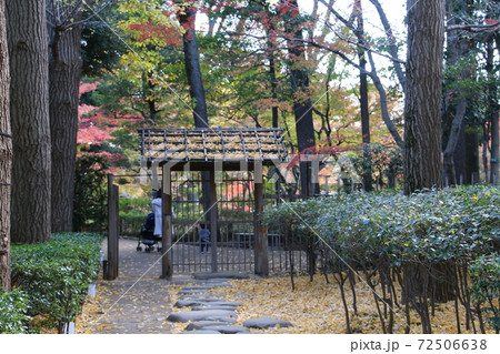 紅葉真っ盛りの大田黒公園 72506638