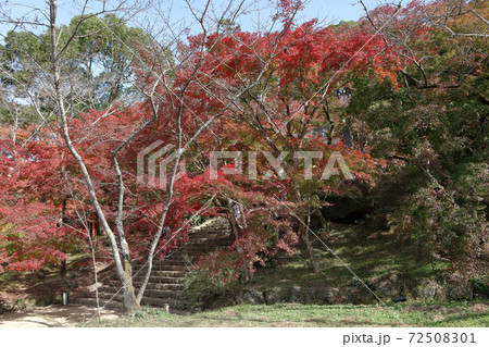 かまど神社 72508301