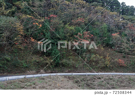 雷山の秋 72508344