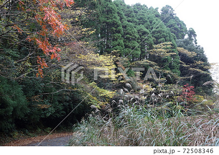雷山の秋 72508346