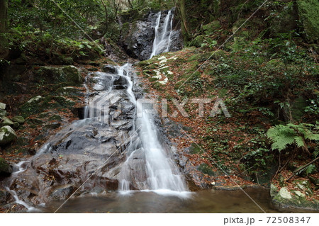 雷山の秋 72508347