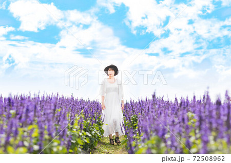 滋賀県 琵琶湖の見える丘 ラベンダー畑 滋賀県 琵琶湖の見える丘 ラベンダー畑 72508962