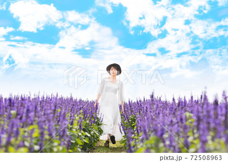 滋賀県 琵琶湖の見える丘　ラベンダー畑 72508963