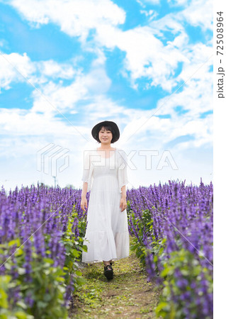 滋賀県 琵琶湖の見える丘　ラベンダー畑 72508964