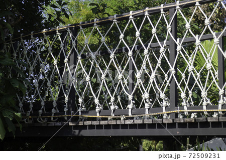 Canopy bridge on summer field 72509231