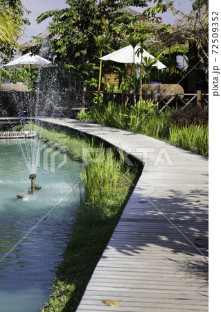 Simple walkway in summer rice field resort 72509352