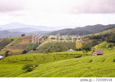 Beautiful view scenery of cottage and rice terraces at Baan Pa Bong Piang,Chiang Mai province,Thailand Beautiful view scenery of cottage and rice terraces at Baan Pa Bong Piang,Chiang Mai province,Thailand 72509538