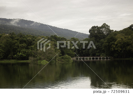 Lake view side relaxing in nature 72509631