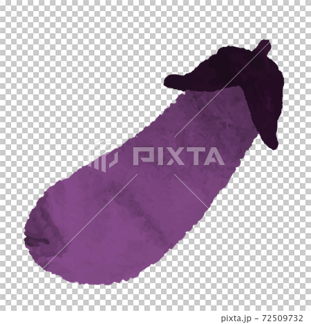 Watercolor style eggplant illustration material Watercolor style eggplant illustration material 72509732
