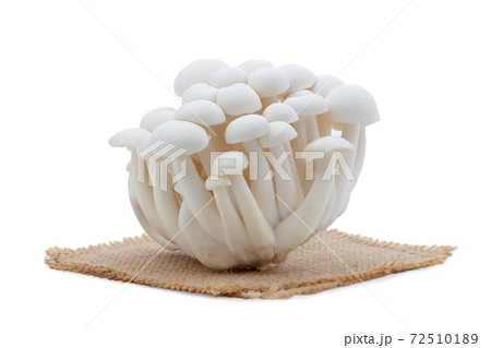 White beech mushrooms or White shimeji mushrooms on sackcloth isolated on white background. 72510189