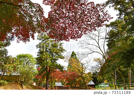 奈良県 奈良公園の紅葉 奈良県 奈良公園の紅葉 72511189