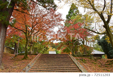 奈良県　奈良公園の紅葉　　 72511203