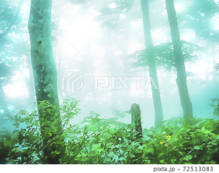 霞む森林の風景 幻想的イメージのイラスト素材