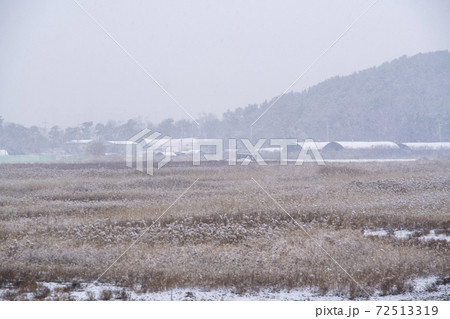 風景 自然 韓国 72513319
