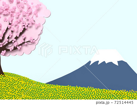 富士山をバックに、桜と菜の花満開の春。 72514445