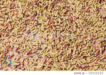 drying flower buds from clove spice drying flower buds from clove spice 72515222