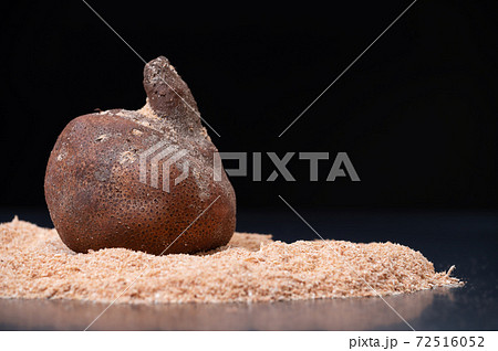 加賀丸いも ブツ撮り写真 加賀丸いも ブツ撮り写真 72516052