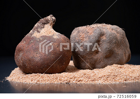 加賀丸いも ブツ撮り写真 72516059