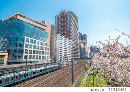 「埼玉県」川口駅西口と桜並木 72516461