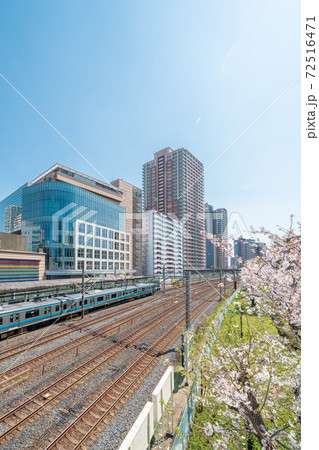 「埼玉県」川口駅西口と桜並木 「埼玉県」川口駅西口と桜並木 72516471