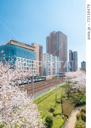 「埼玉県」川口駅西口と桜並木 72516479