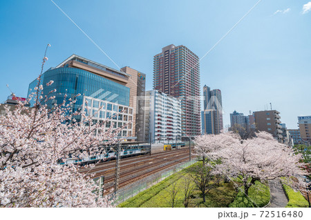 「埼玉県」川口駅西口と桜並木 72516480