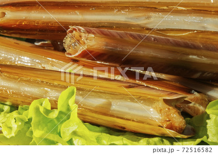 Razor clams Razor clams 72516582