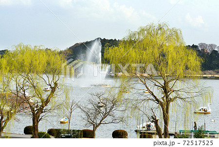 春の千波湖 春の千波湖 72517525
