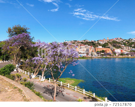 アヌシ湖とジャカランダの花(マダガスカル・アンタナナリボ) アヌシ湖とジャカランダの花(マダガスカル・アンタナナリボ) 72517870