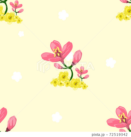 Pink and yellow flowers with soft yellow background behind. Seamless pattern. Vector Illustrator. 72519342