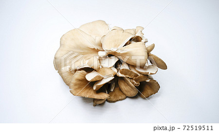 舞茸のイメージ画像 72519511