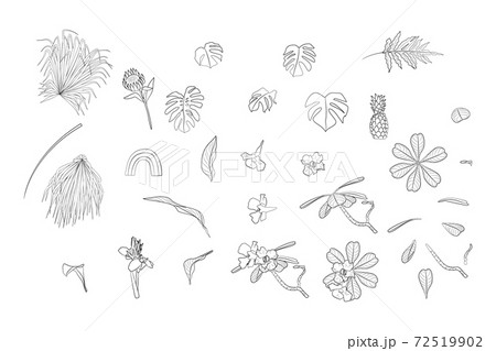 Set of monochrome boho tropical house plants and home decor objects black ink line art. Flat vector illustration. Set of monochrome boho tropical house plants and home decor objects black ink line art. Flat vector illustration. 72519902