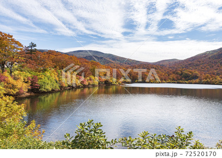 須川湖の紅葉 72520170